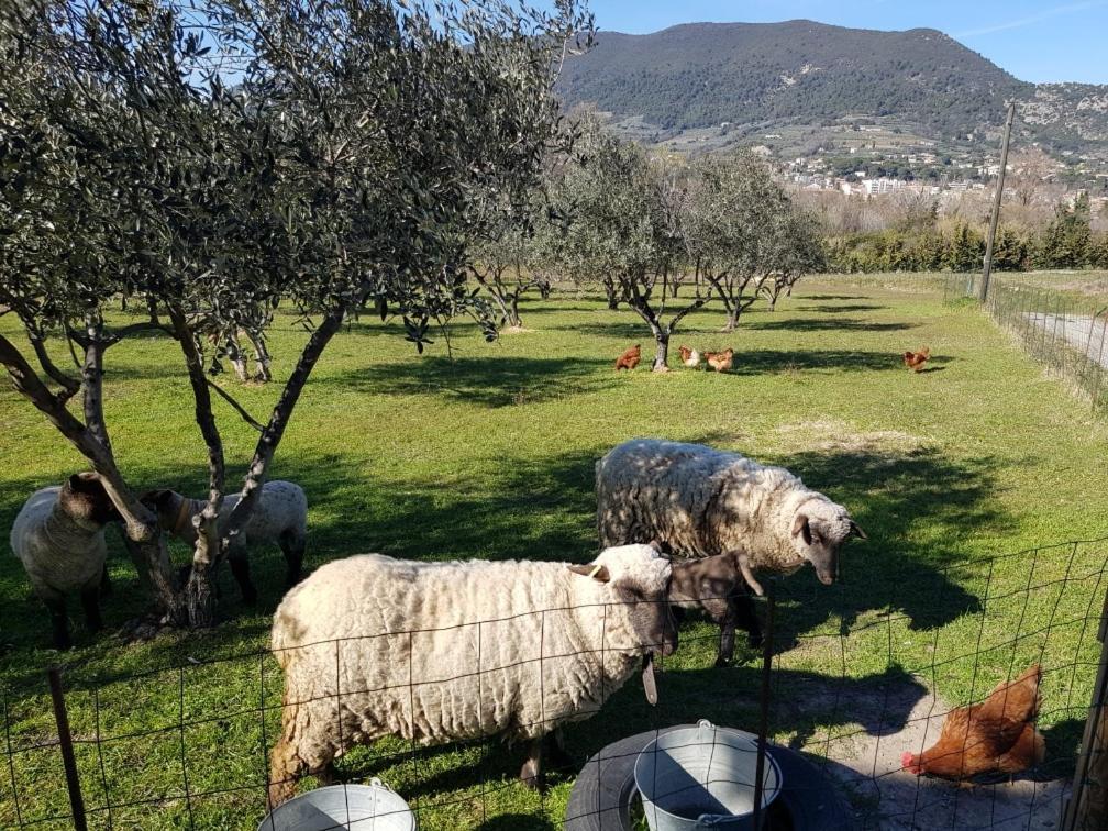 Studio En Campagne Dans Une Ferme Bio Apartment Nyons Bagian luar foto